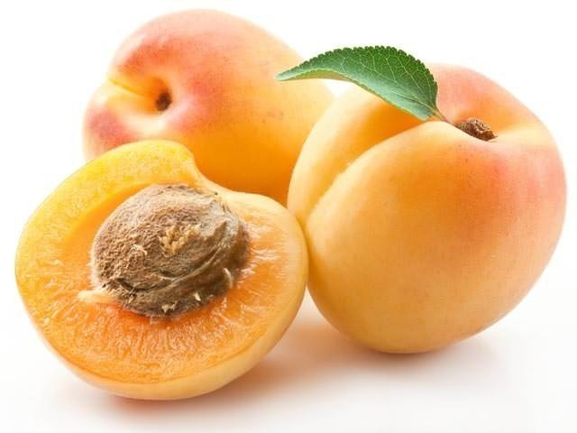 Строение плода абрикоса абрикос