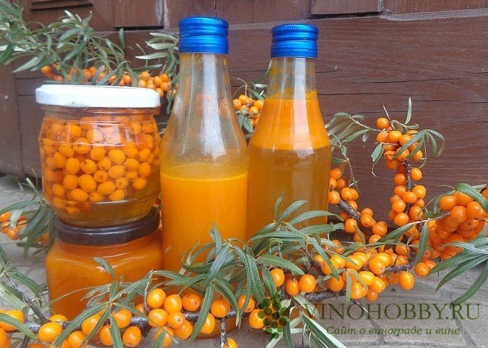 Настойка облепиха sea buckthorn