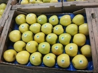 Турецкие лимоны сорта