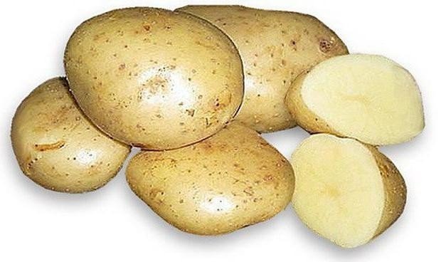 Сорт картофеля каратоп