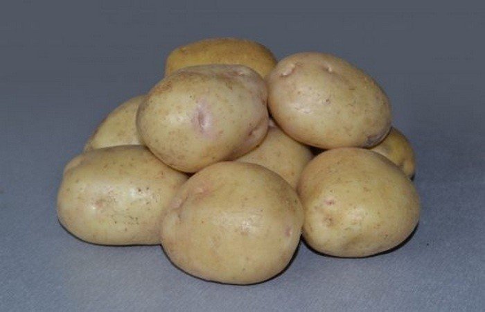 Семенной картофель невский