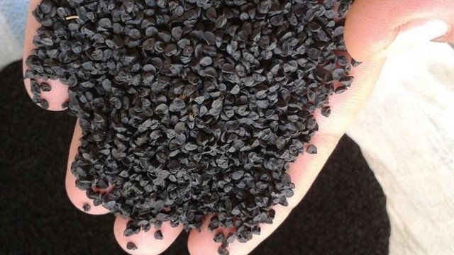 Как собирать семена лука – тонкости и нюансы процесса