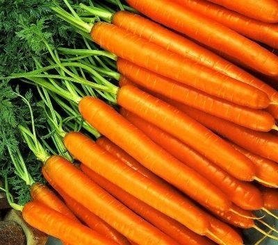 Морковь оранжевый мускат