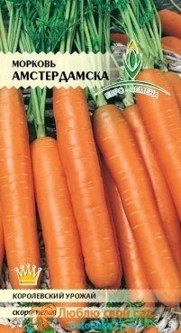 Морковь амстердамска евро-семена