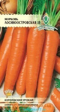 Морковь лосиноостровская