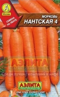 Морковь витаминная