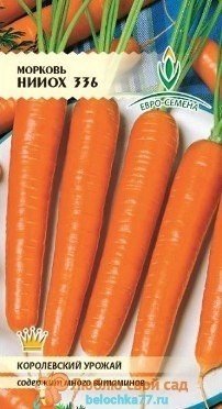 Сорт моркови нииох