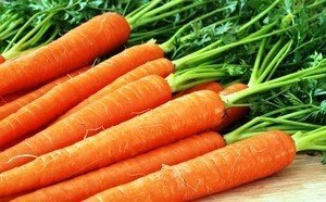 Морковь каротан