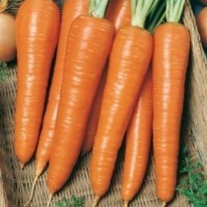 Морковь карамель оранжевая гавриш