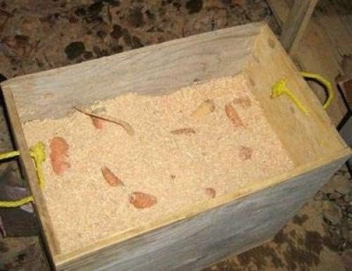 Ящик для хранения моркови в погребе