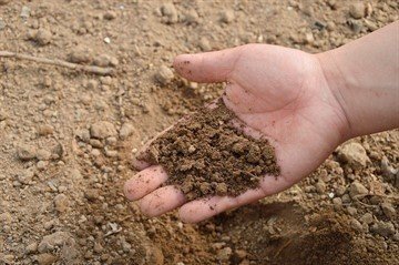 Плодородный слой почвы