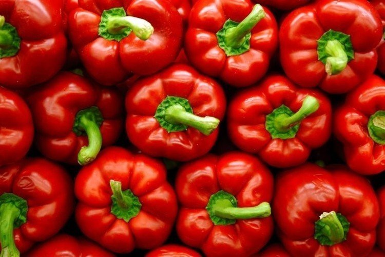 Capsicum annuum сладкий перец