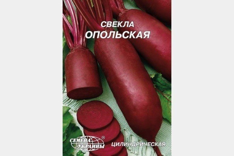 Свекла цилиндра