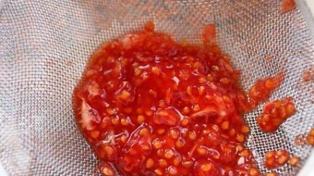 Как собрать и заготовить семена томатов самостоятельно