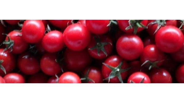 «Краснодарские помидоры» едут к нам из Турции, а чеснок