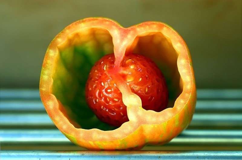Пустотелость плодов томата