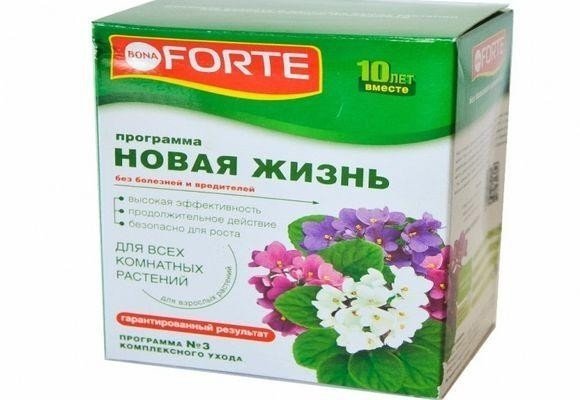 Forte для всех комнатных растений здоровье