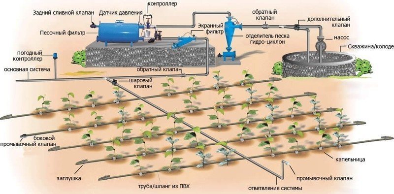 Система фильтрации воды для орошения овощей