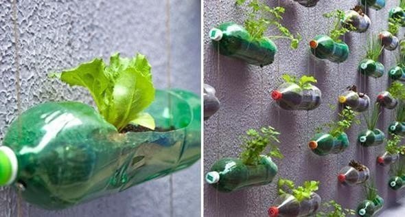 Поделки из пластиковых бутылок для сада и огорода
