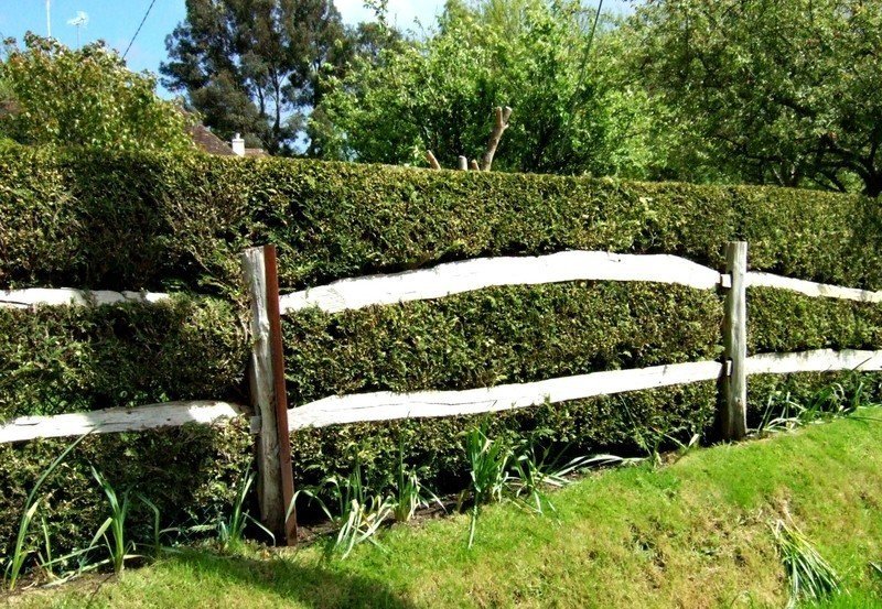 Забор в деревне