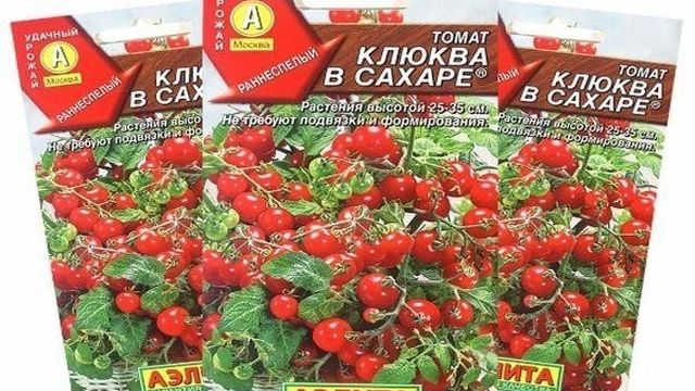 Описание декоративного томата Клюква в сахаре и агротехника выращивания
