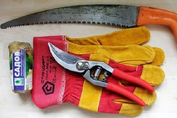 Инструменты необходимые при обрезке кустов