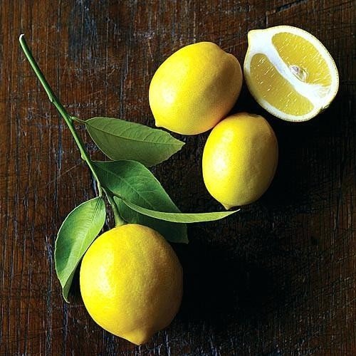 Лимон amalfitano