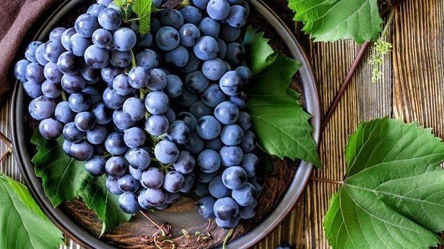 Успешное черенкование винограда для получения здоровых саженцев