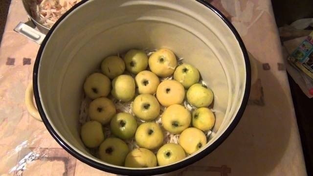 Мочёные яблоки на зиму в ведре антоновка