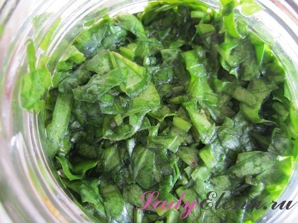 Салат из листьев салата щавеля